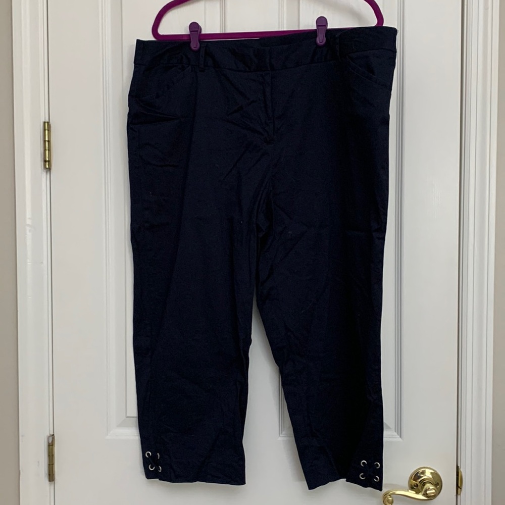 Avenue Dress Pants / 18